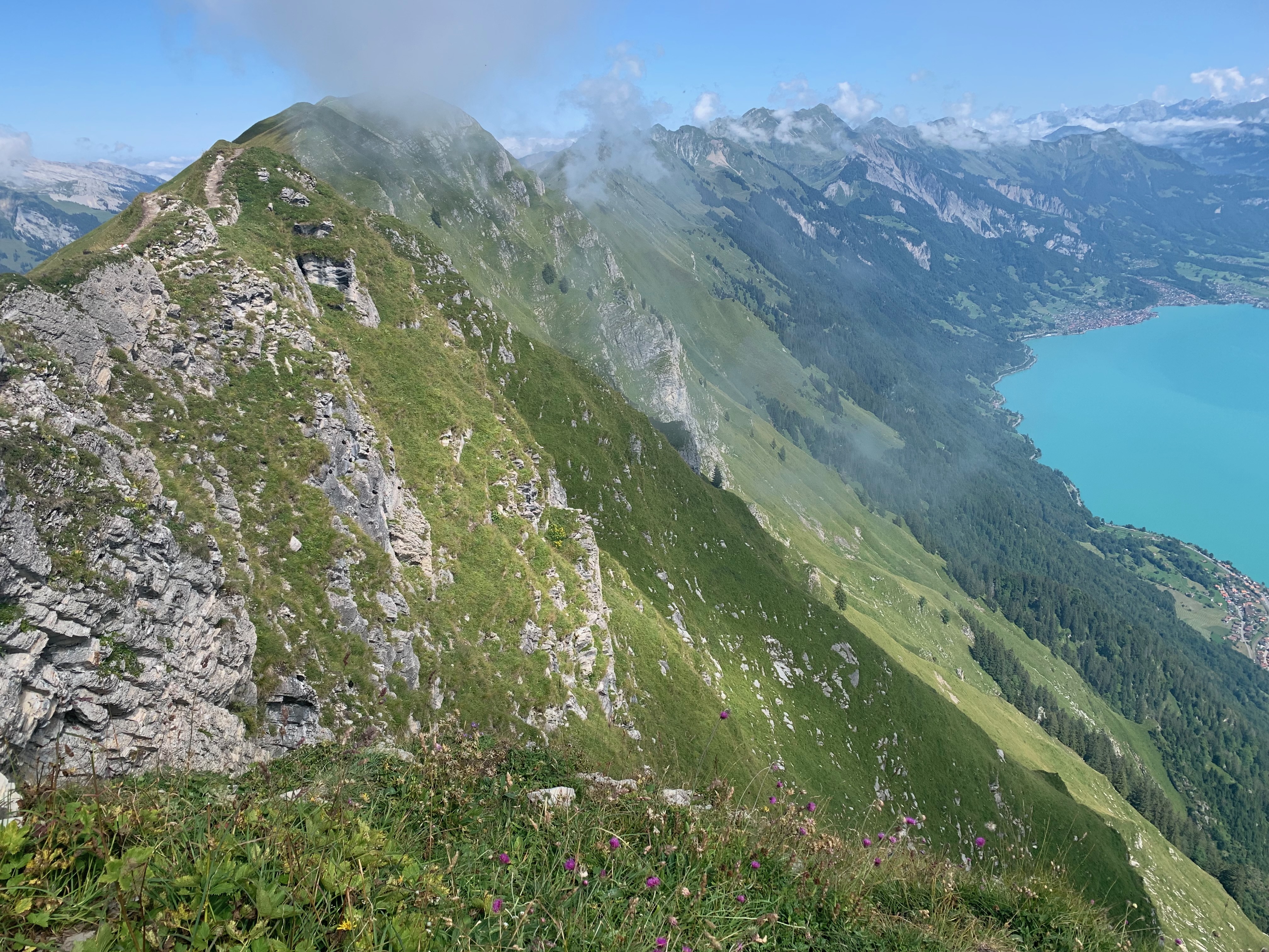 And forward to where I still have to go (and then down that...)