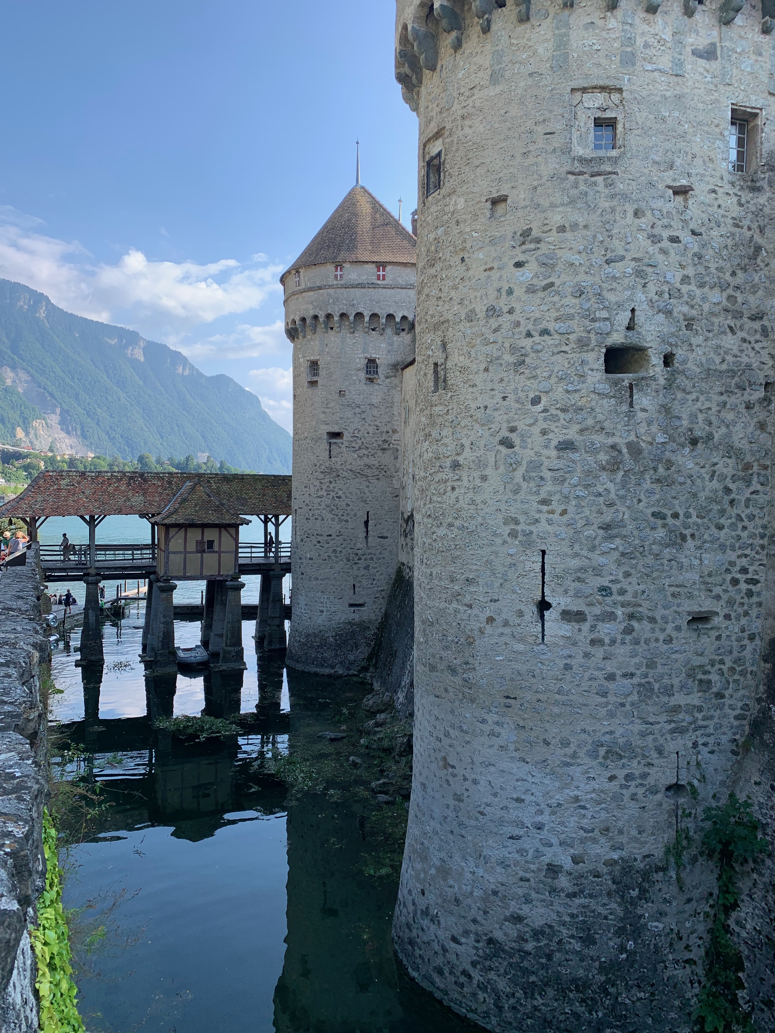 Basically a built-in moat